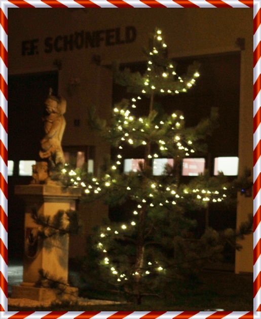 Weihnachtsbaum 20141